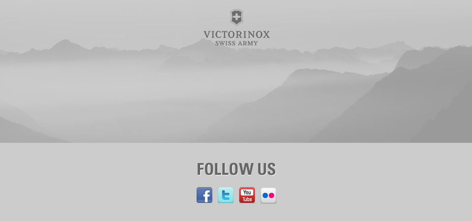 victorinox followus 960 011