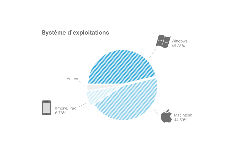 Website's statistics