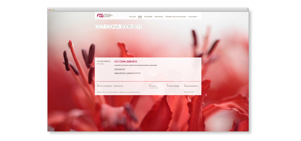 fcg rea siteweb affichage v5