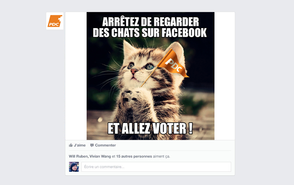 Meme chat PDC