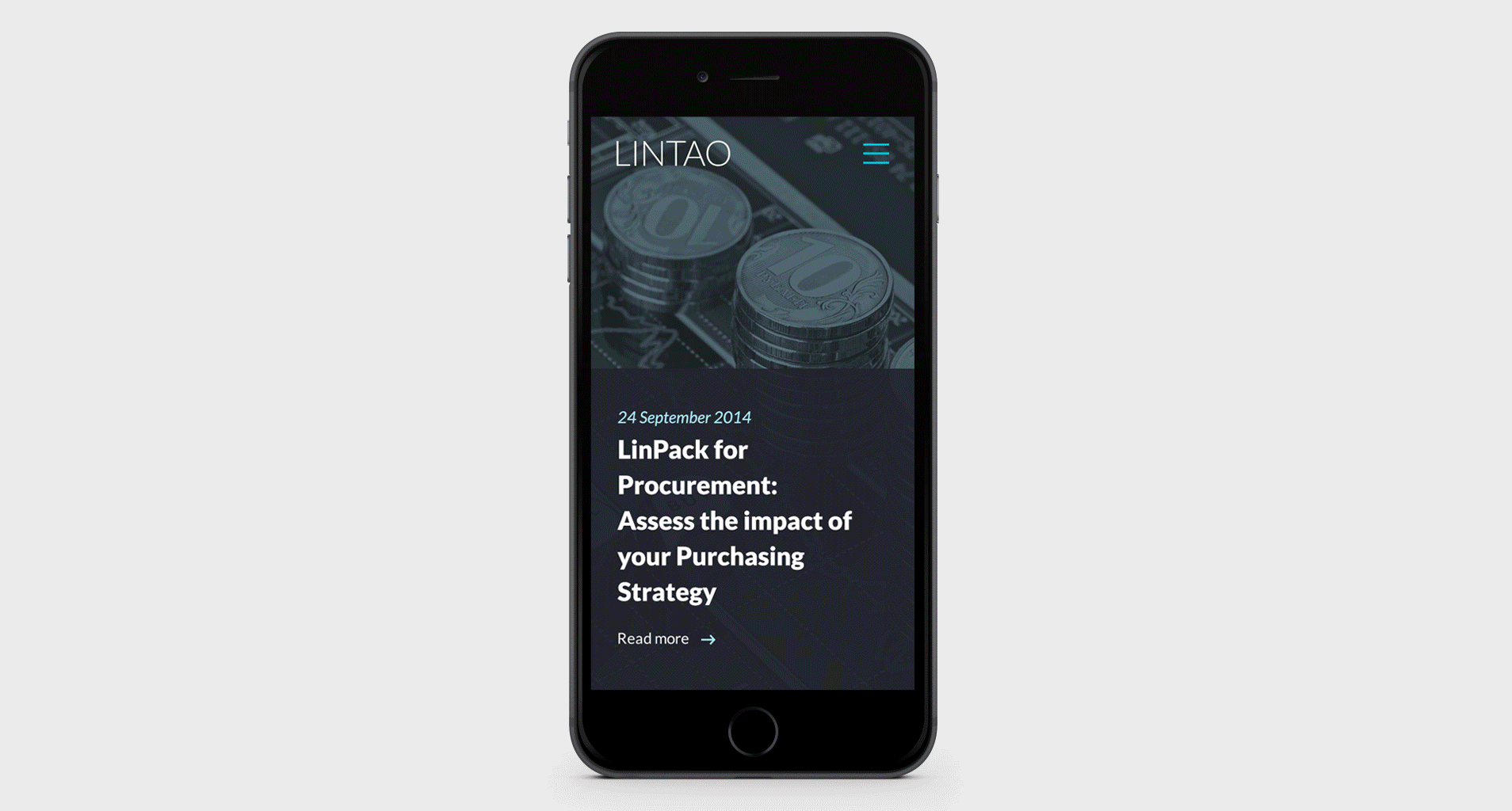 Display of Lintao's new website mobile version