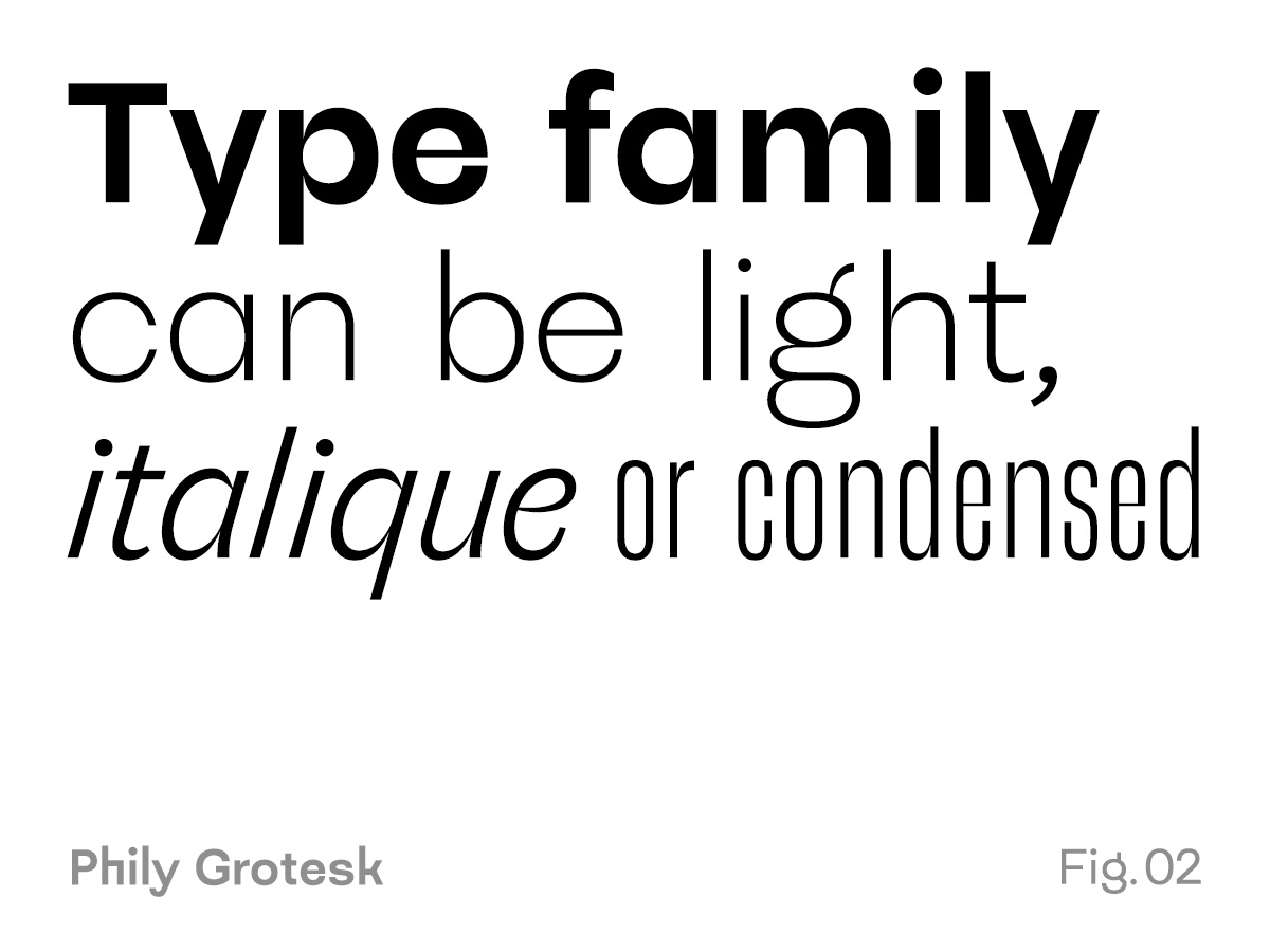 What's a type family in Type Design?