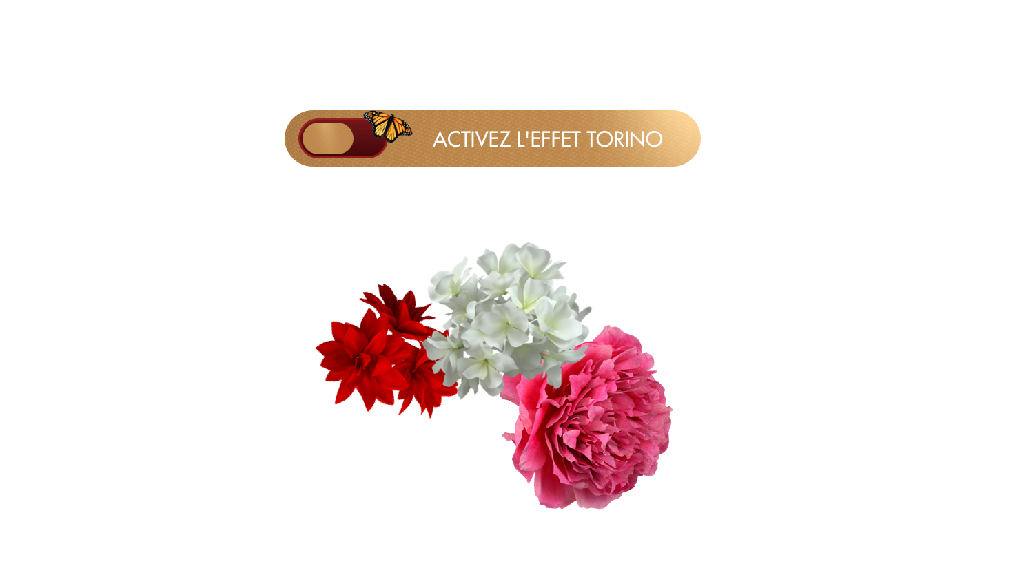 torino brand elements 2