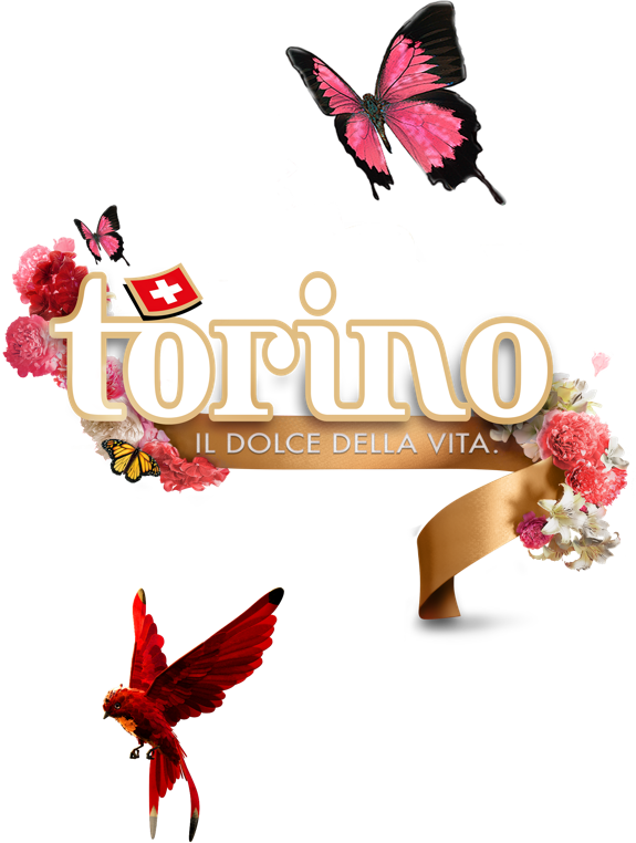 torino brand
