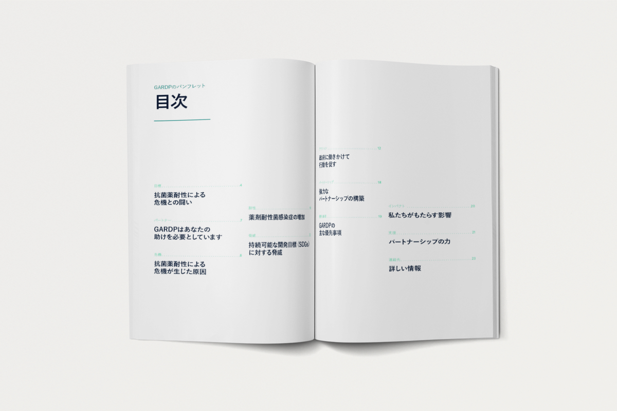 gardp-brochure-japanese