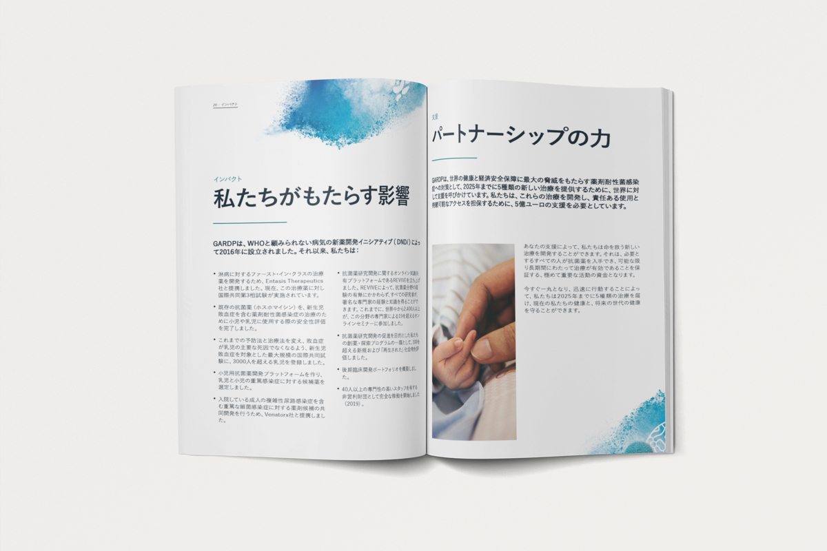 gardp casestudy japanbrochure3