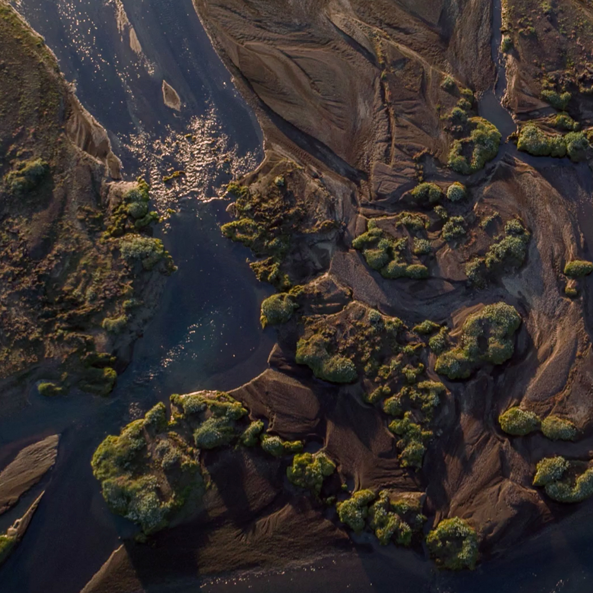 digital marketing agency