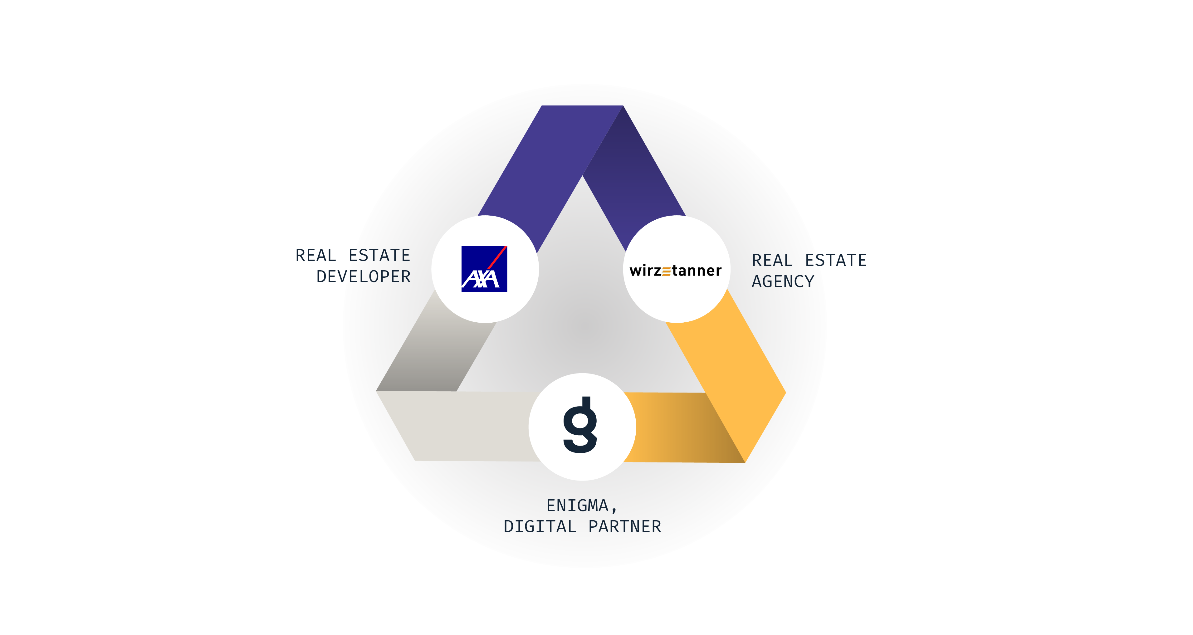 Real Estate Enigma Scheme WHITE BACKGROUND copy 3