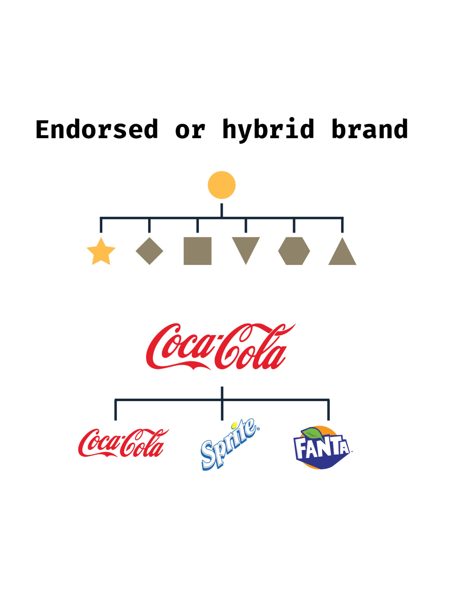 Branding strategy how to define the right brand architecture? Enigma