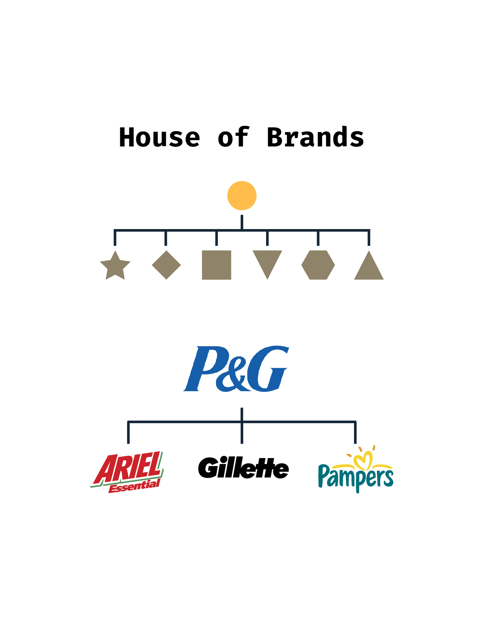 single brand hierarchy 10