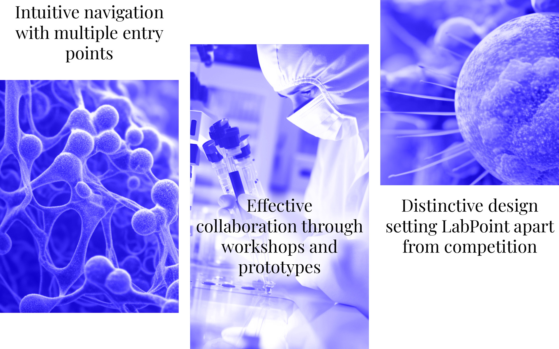 labpoint case study